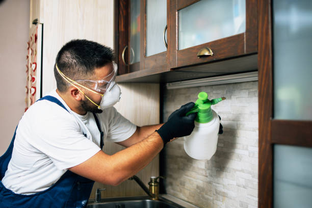 Best Termite Control Services  in Holtsville, NY