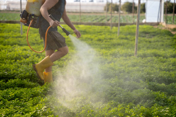 Best Exterminator Services  in Holtsville, NY